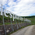 DSC08253